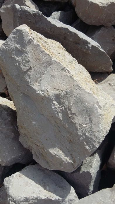 Kamień do gabionu Dolomit beż