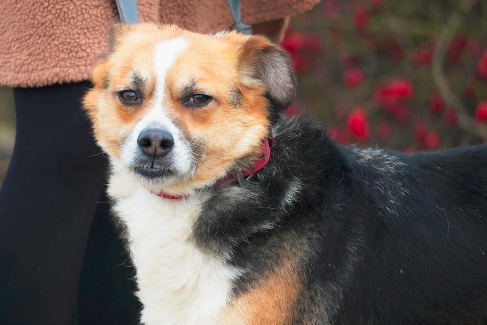 Salud jego urok i wdzięk mówi sam za siebie