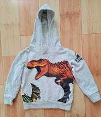 Bluza chłopięca dinozaury rozmiar 98/104 h&m