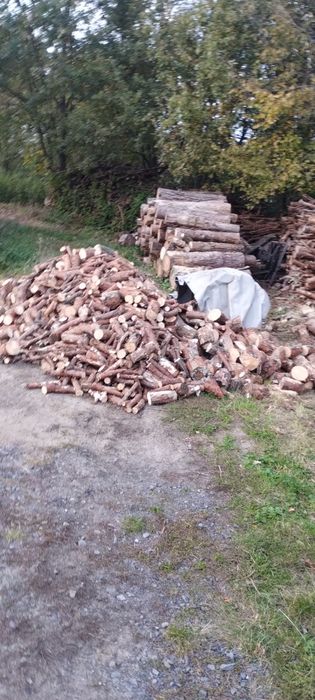 Drzewo opałowe na sprzedaż