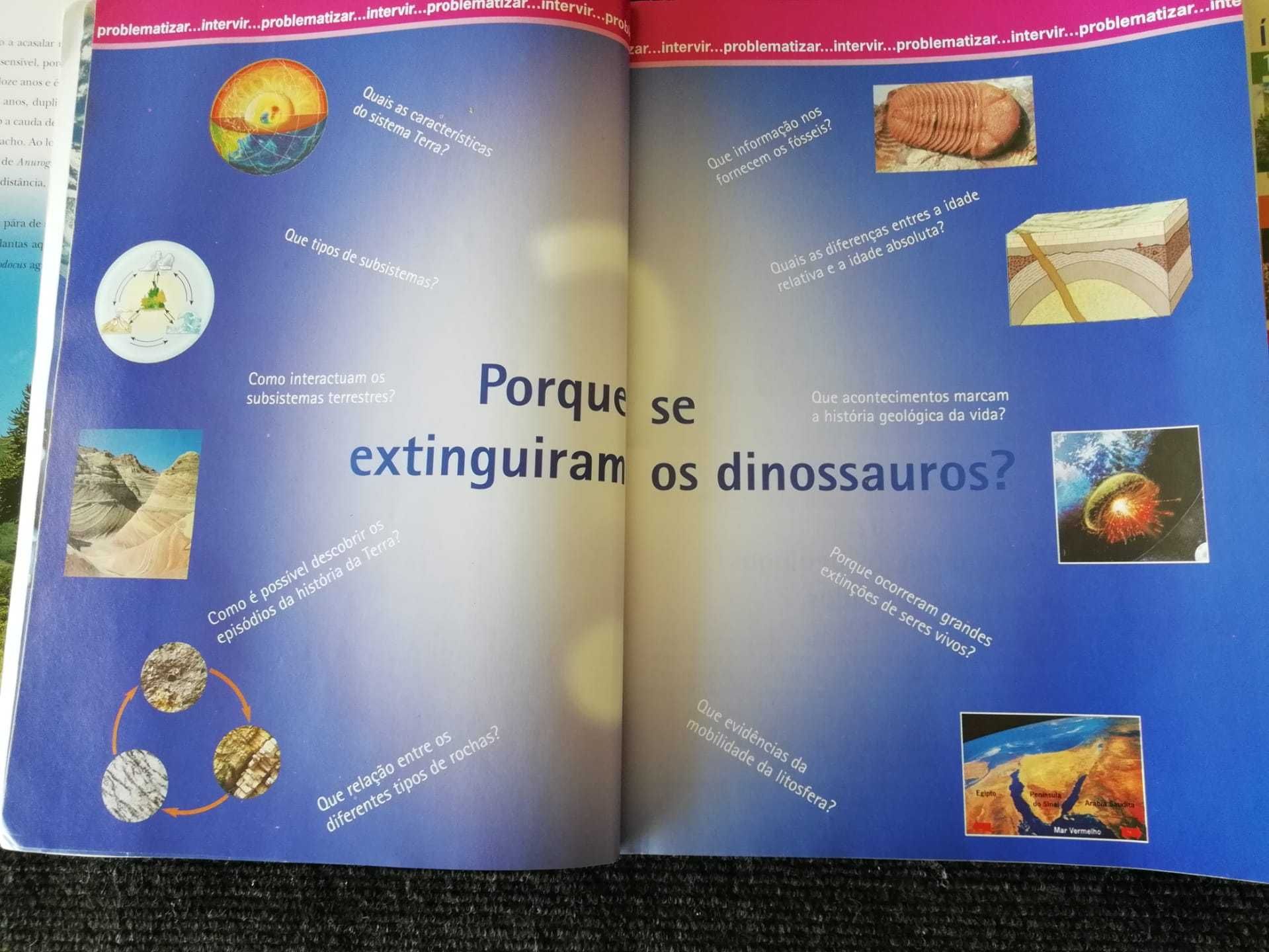 Grande e Bonito Livro O Tempo dos Dinossauros C Figuras Em Português