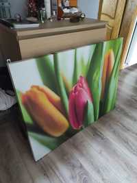 Obraz na płótnie tulipany