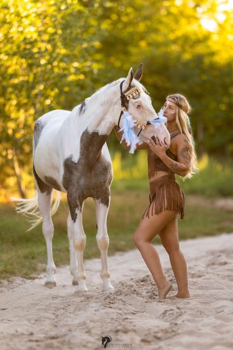 Niebieskooka piękna klacz hodowla rekreacja