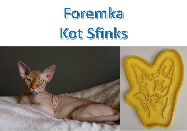 Foremka 3D w kształcie Kot Sfinks (Sphynx cat)