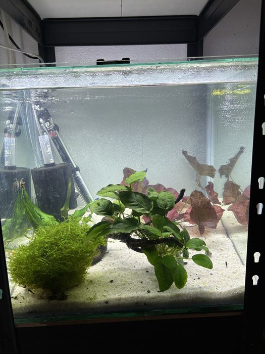 Aquario 42x40x40