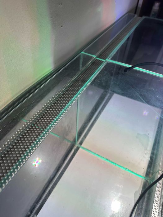 Terrarium szklane - duże drzewołazy gekony jaszczurki wąż rośliny