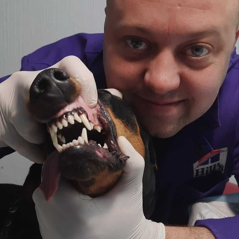 Ветеринарний лікар+ратолог до дому Вінниця