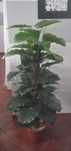 Planta artificial 1,50m