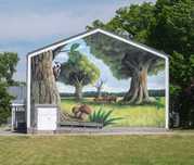 Mural / Malarstwo ścienne / Dekoracje / Design / Graffiti