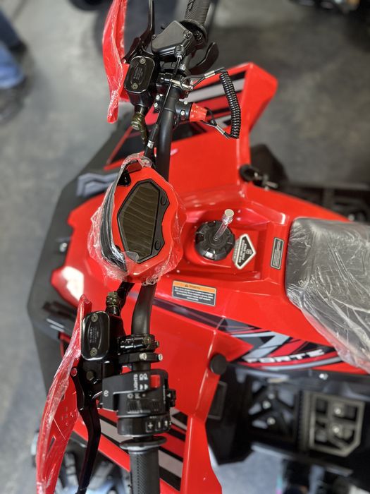 Квадроцикли Forte 125