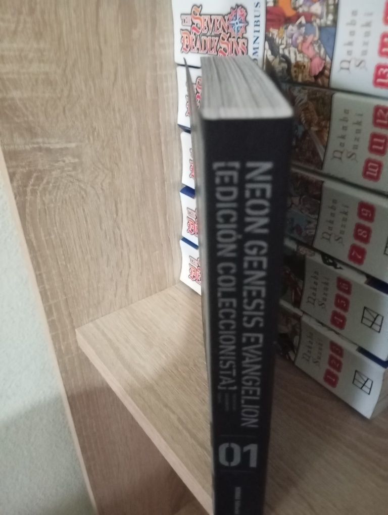 Mangá Neon Genesis Evangelion Vol.1