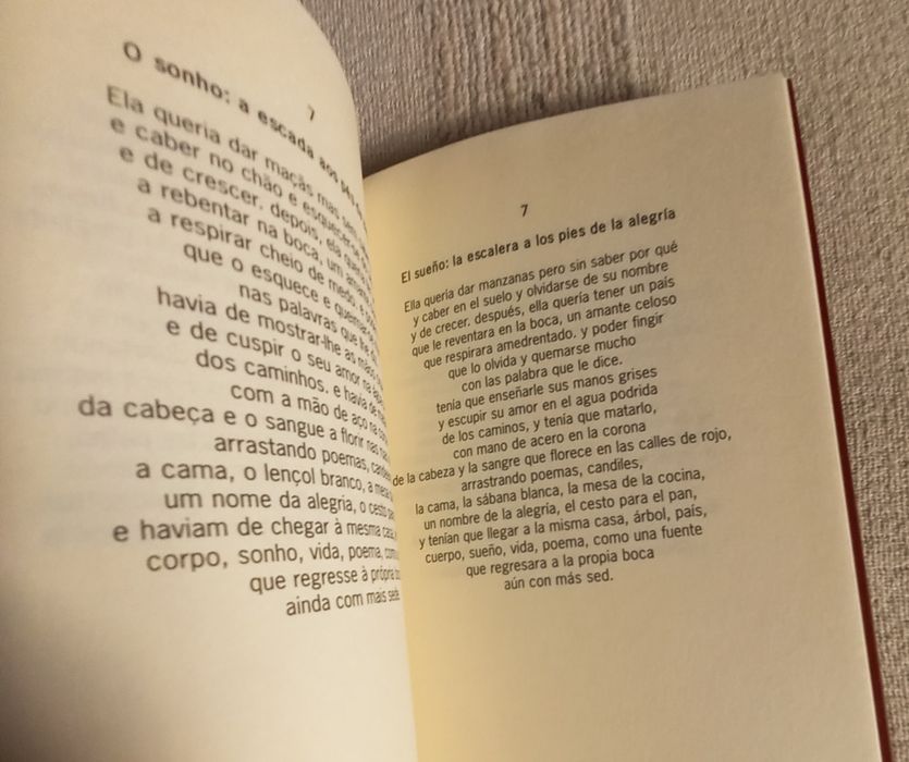 Livro de poesia de Rui Costa O Pequeno Almoço de Carla Bruni
