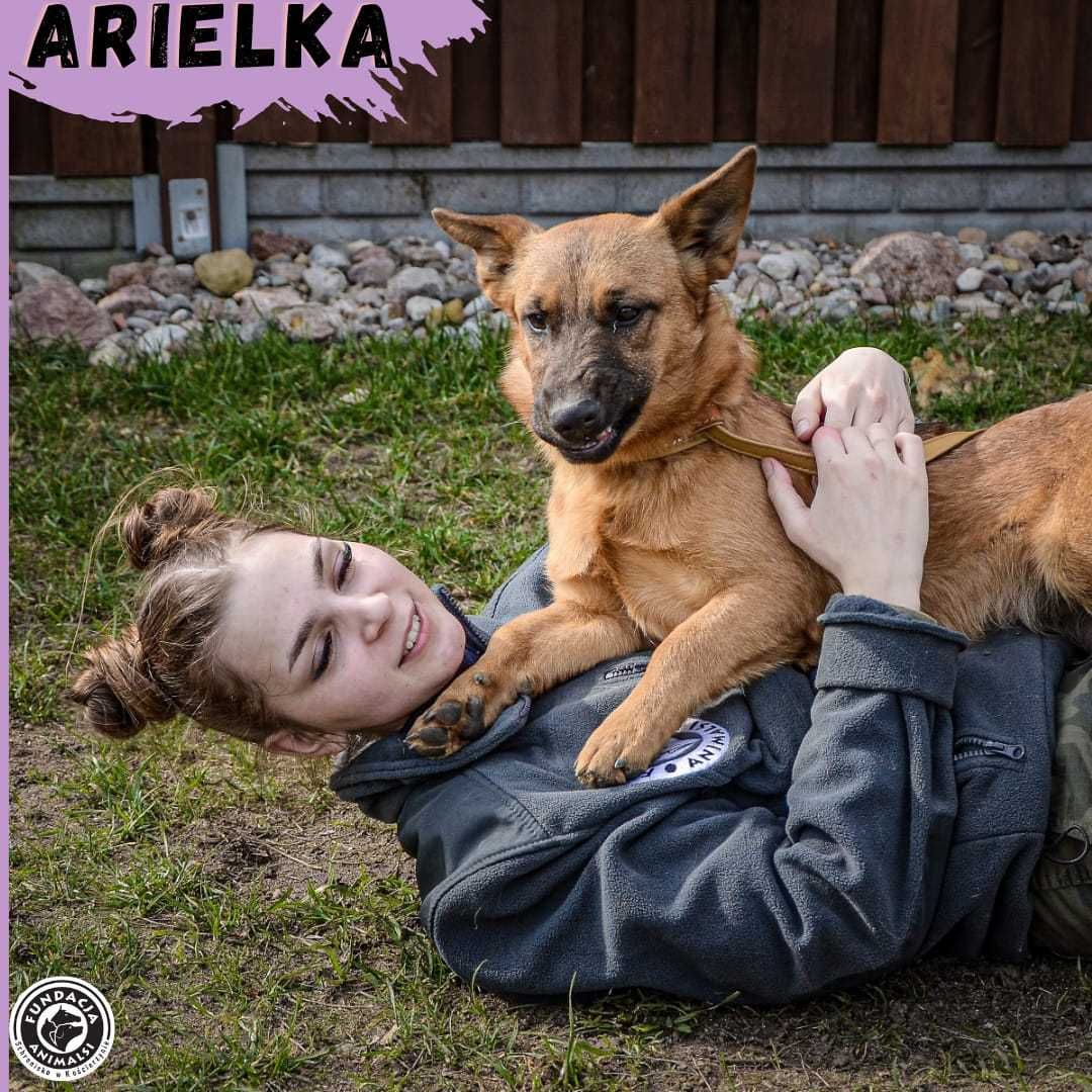 Arielka czeka na troskliwy dom