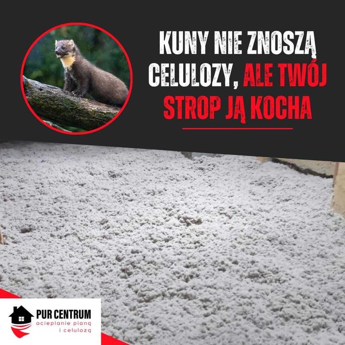 Ocieplanie Celulozą Izolacja Wdmuchiwaną Wełną Celulozową Ocieplenia