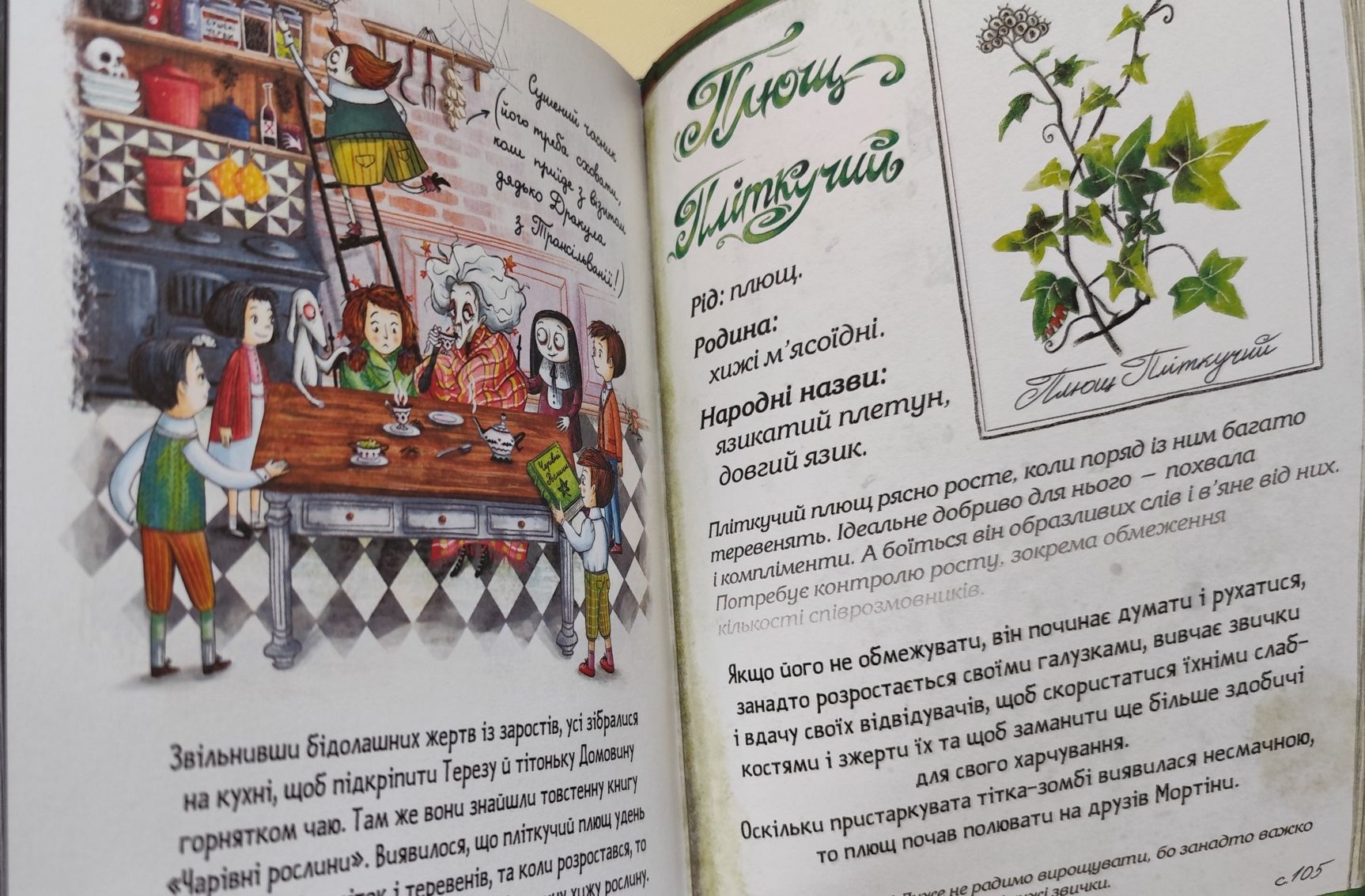 Мортіна і вередливий кузен