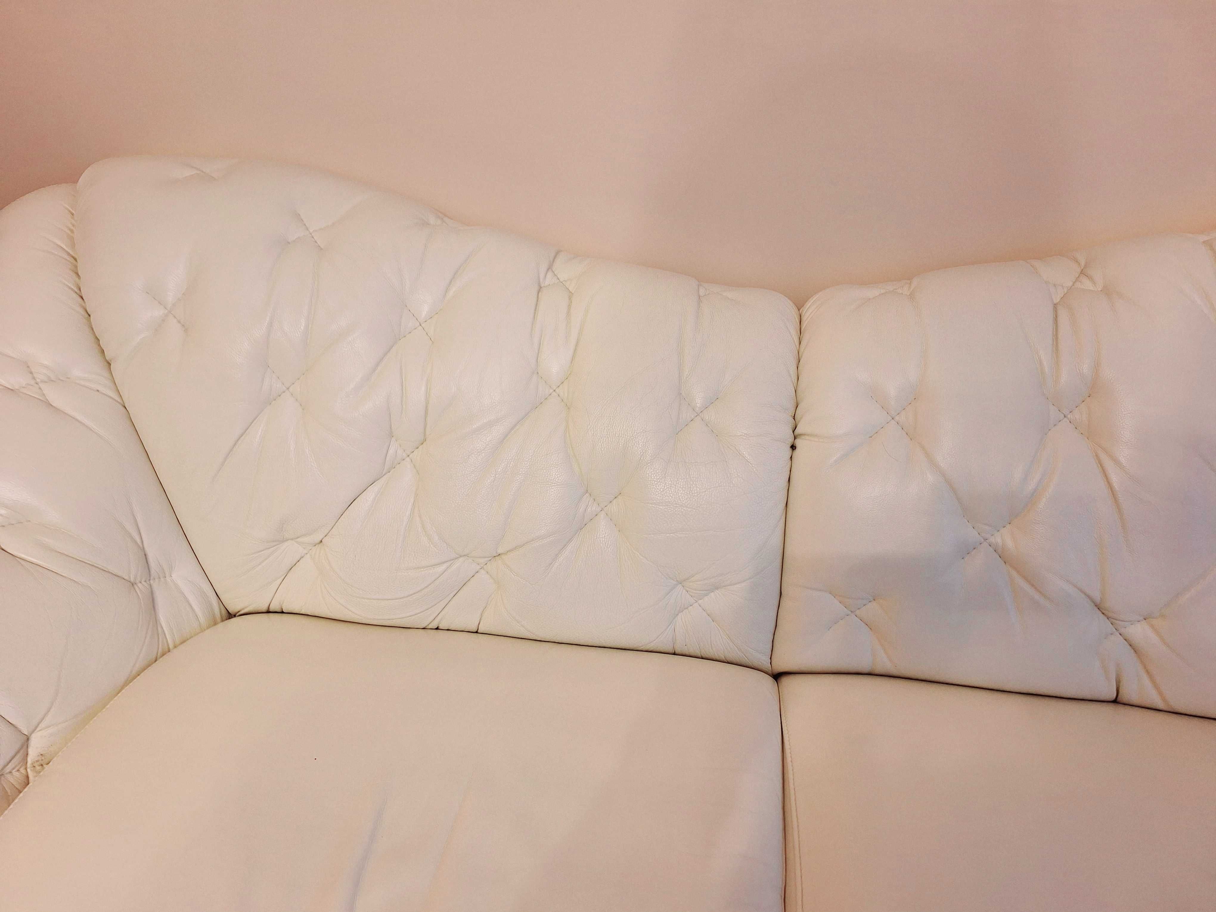 Skórzana sofa bez funkcji spania  kremowa ZUCHERO 3BF VIENNA LUX