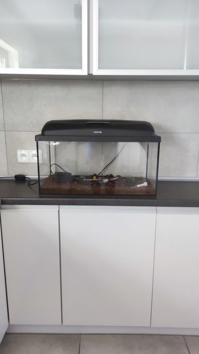 Akwarium 60l+wyposażenie