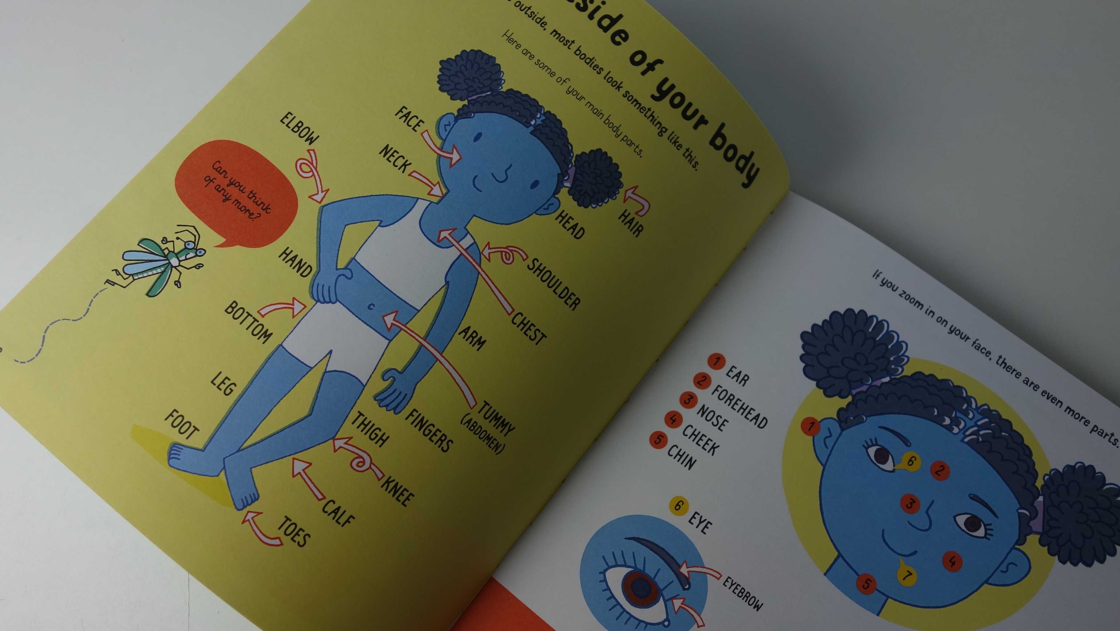 All you need to know about Your Body by age 7. USBORNE