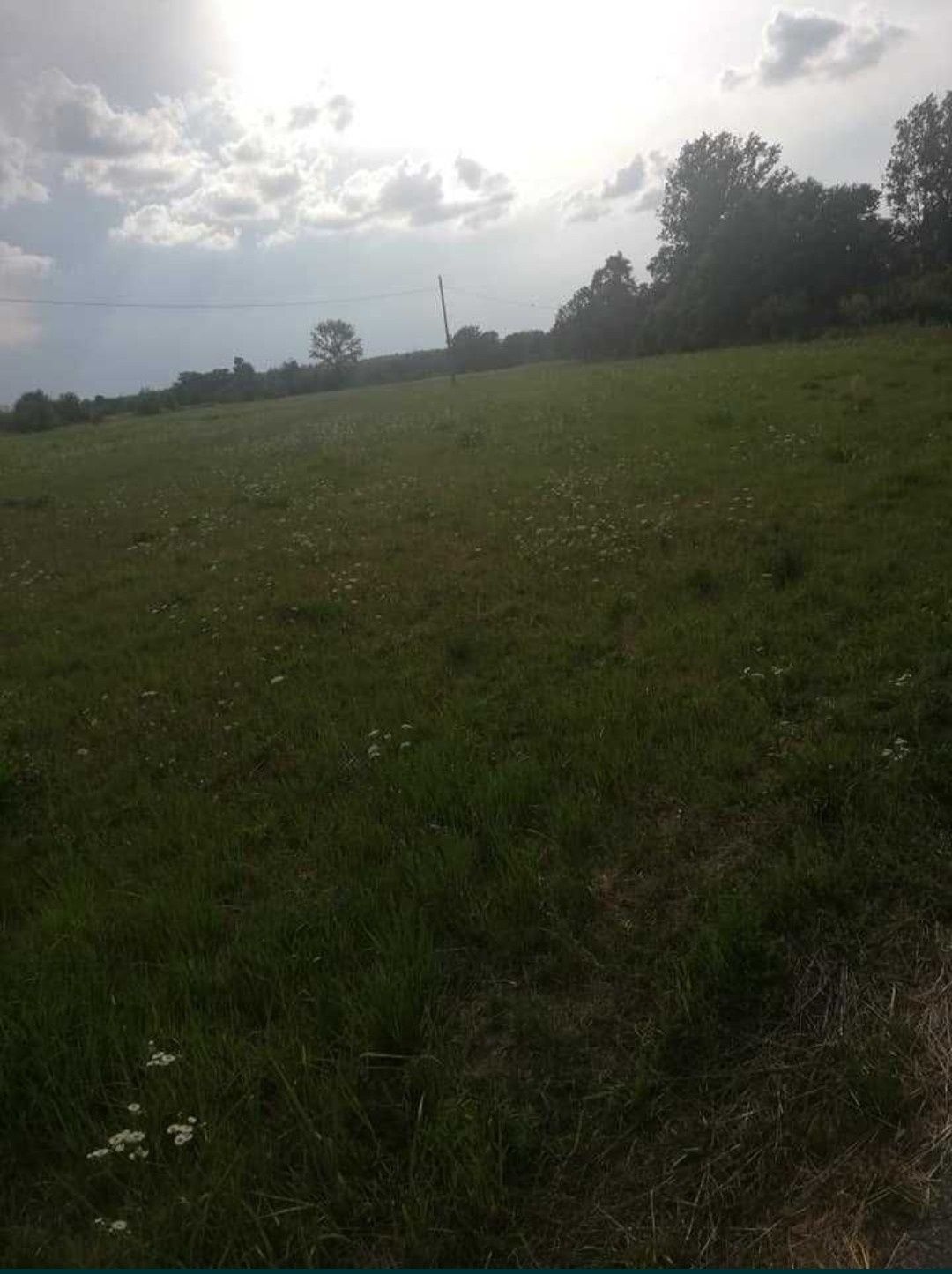 Sprzedam działkę