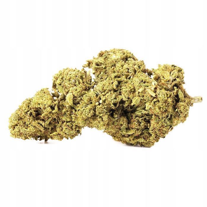 100G Susz CBD Lemon Haze Indoor 0,20% HURT Producent FV Susz konopny