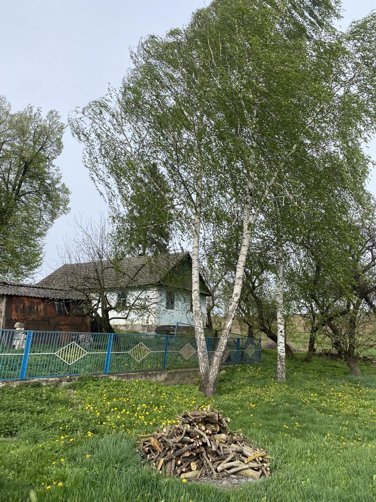 Продам будинок у селі Олишківці, Збаразького р-н., Тернопільської обл.