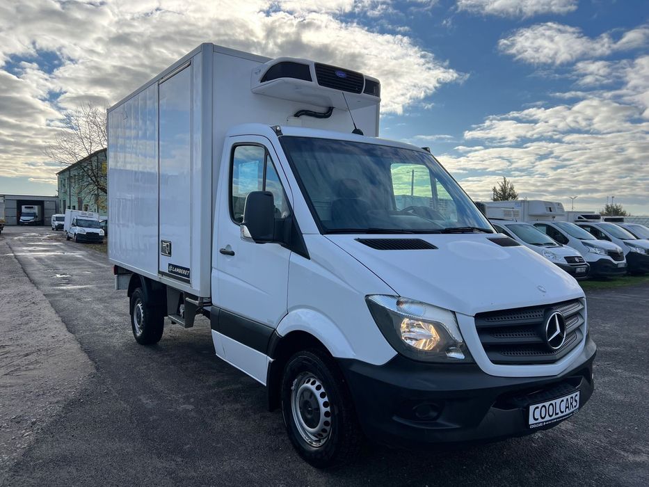 Mercedes-Benz Sprinter 313 CDI Carrier Pulsor 400 Mt. (383)