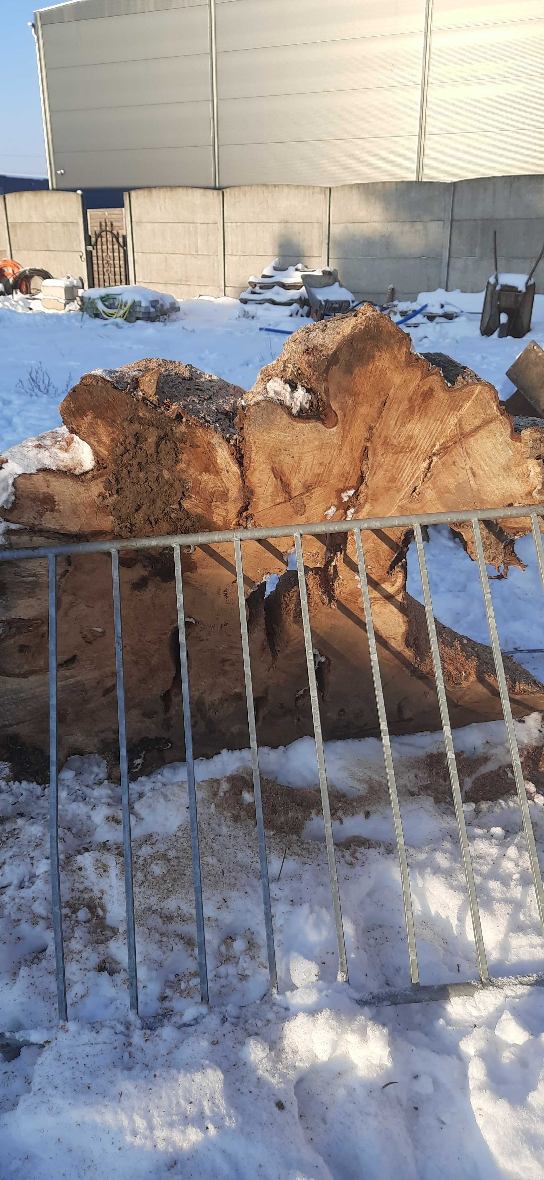 Plaster na stół wiąz