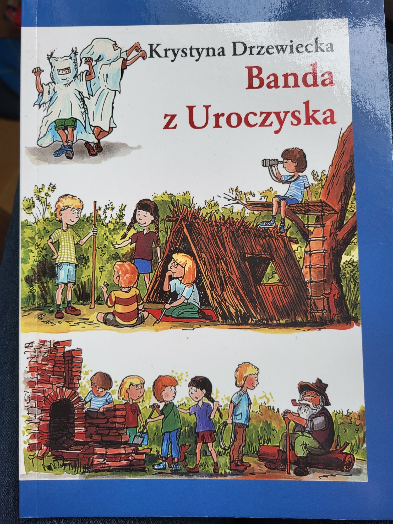 Zestaw 2 ksiazek
Banda z Uroczyska, Piątka z zakątka Krystyna Drzewiec