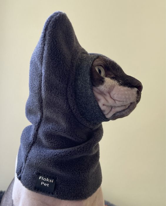 Шапка для сфінкса кота кішки кошеня одежда