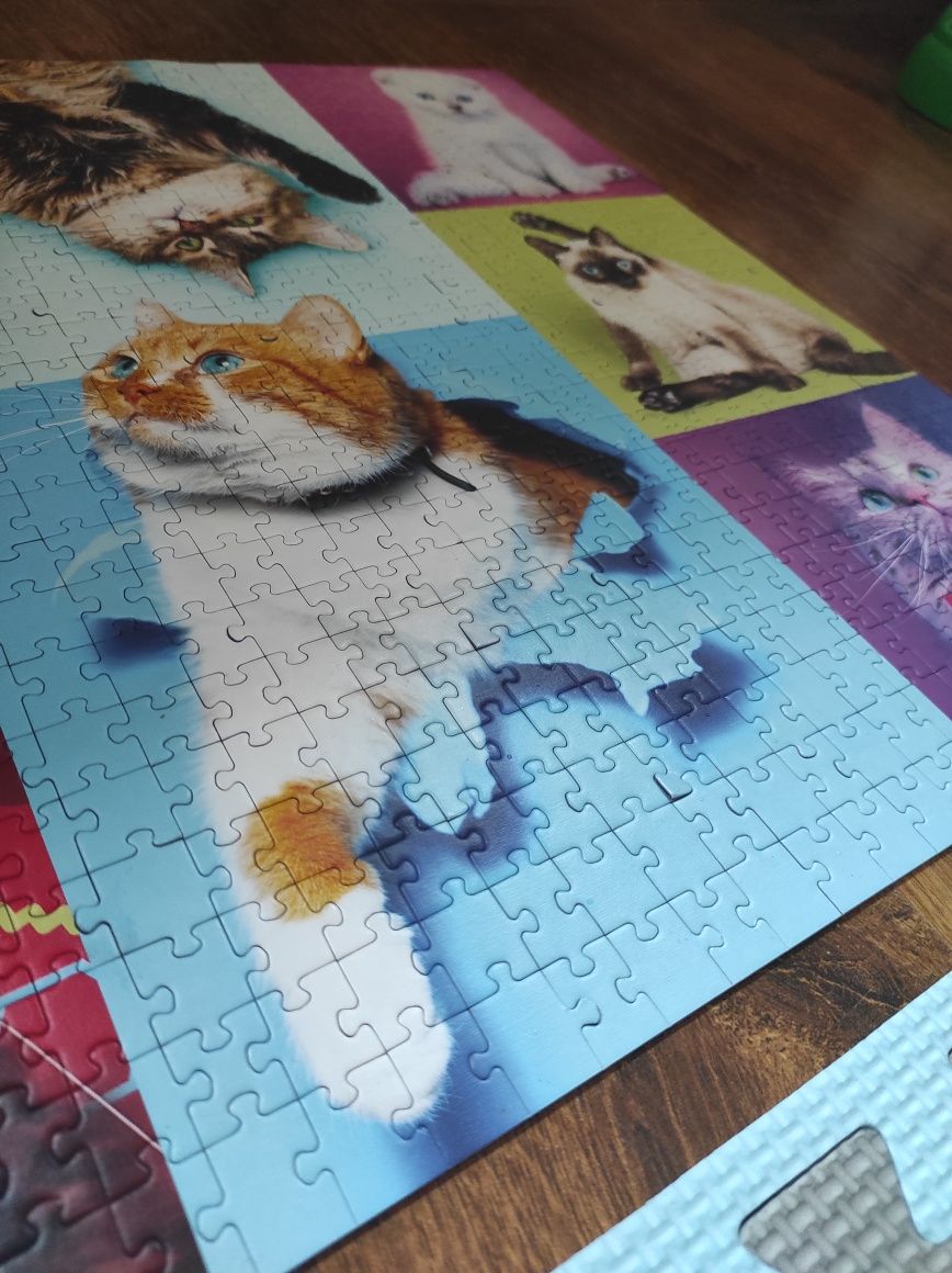 Puzzle Trefl 1000 Koty możliwa zamiana