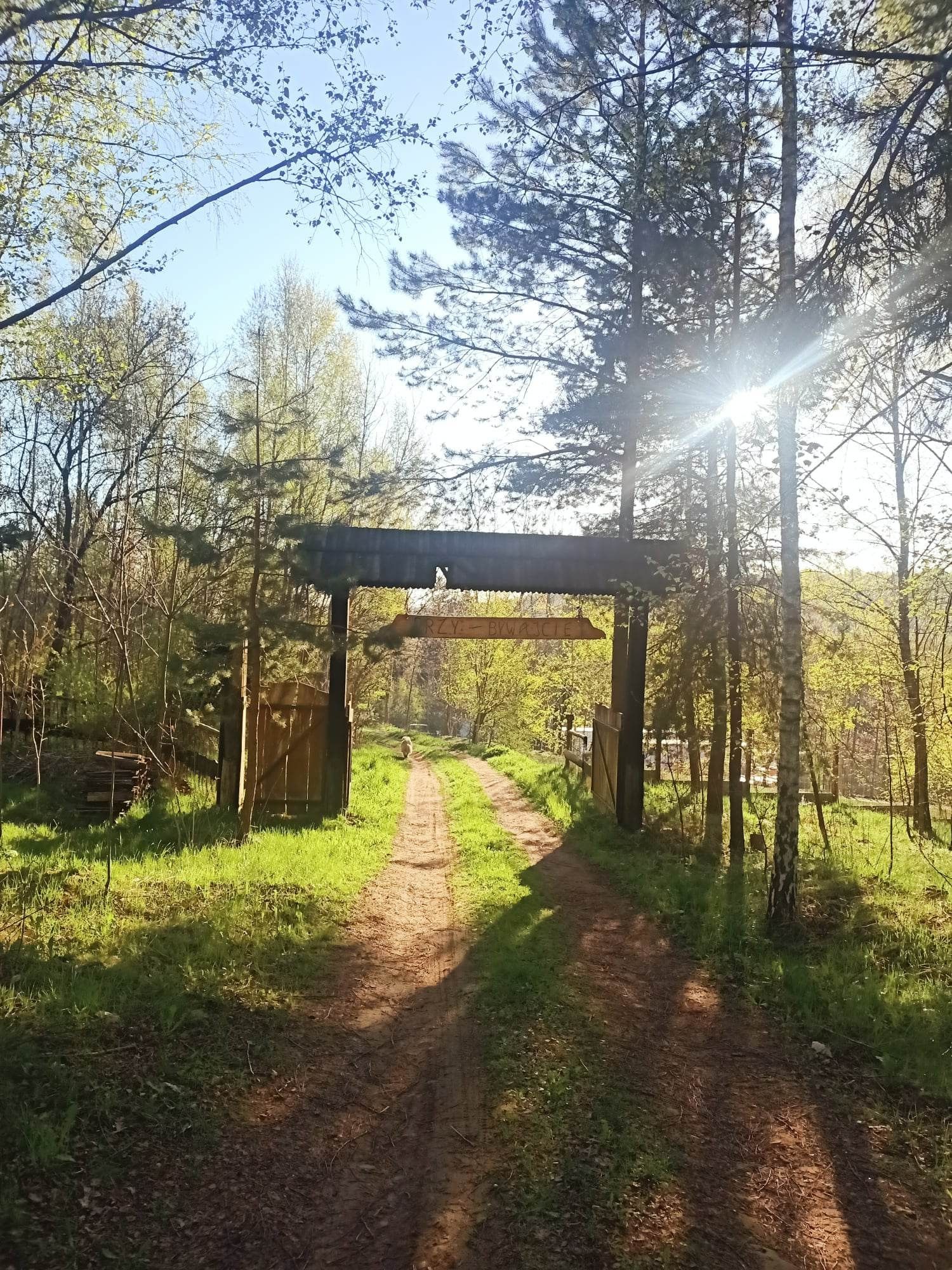 Domek na wzgórzu na Wieczór kawalerski, panieński.