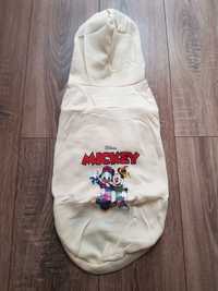 bluza z kapturem dla psa Mickey Myszka Minnie Kaczka Daisy Disney XXL