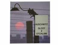 Auschwitz głosy z otchłani twarda