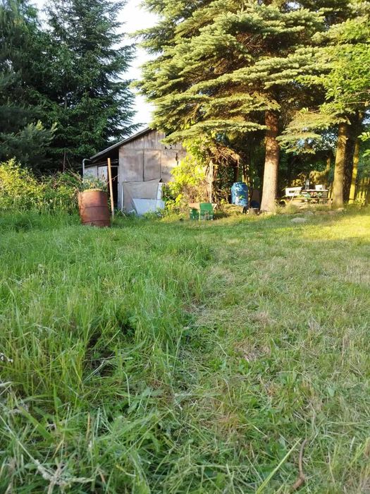 Ogródek Działkowy nie ROD Kraków, Złoty Wiek 1,7ar Działka rekreacyjna