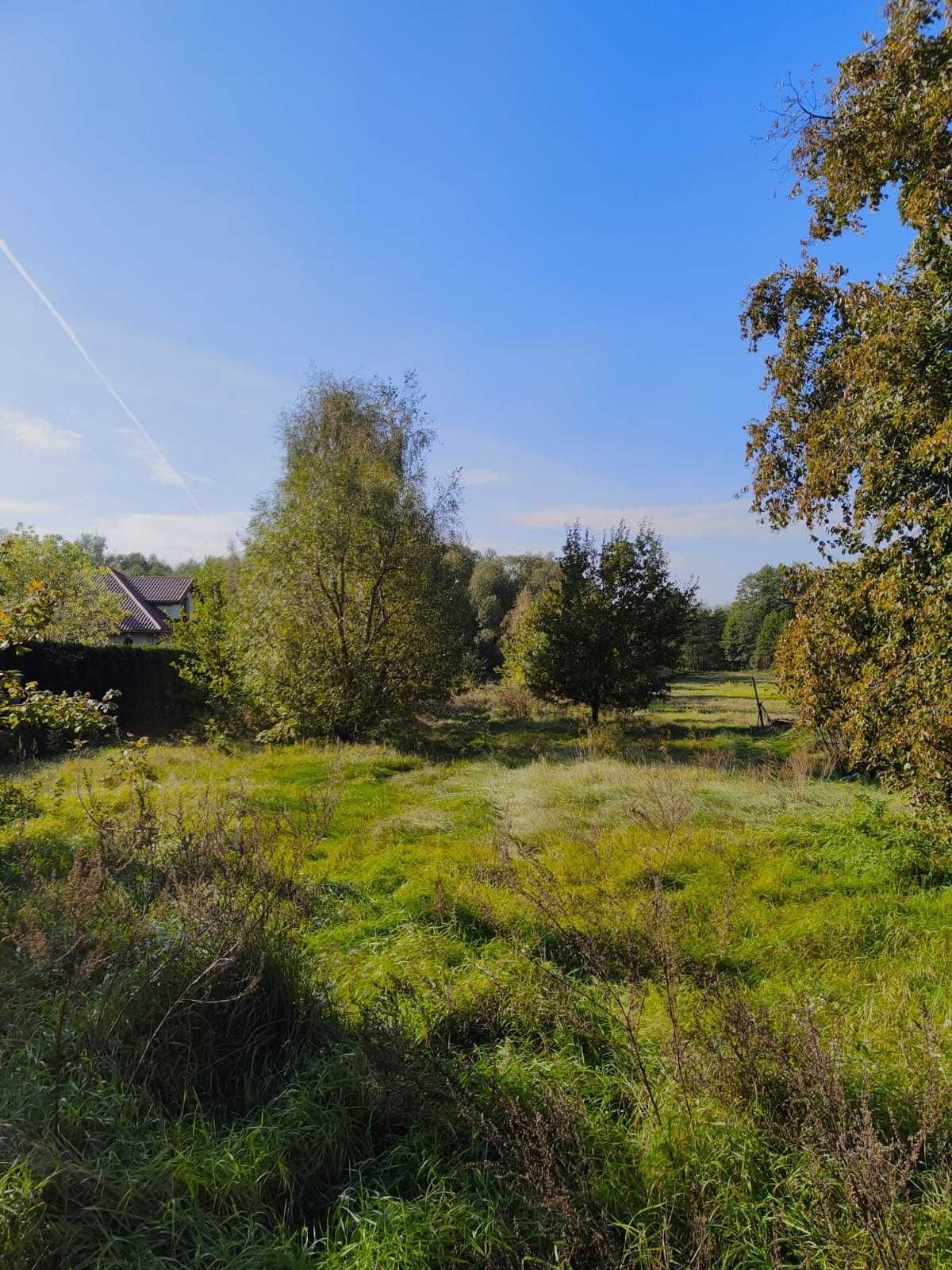 Sprzedam działkę 0,86 ha  Kazimierzów gmina Opole Lubelskie