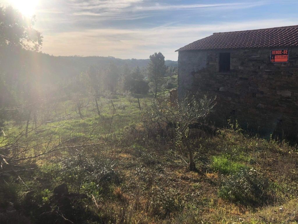 Palheiro em pedra com terreno