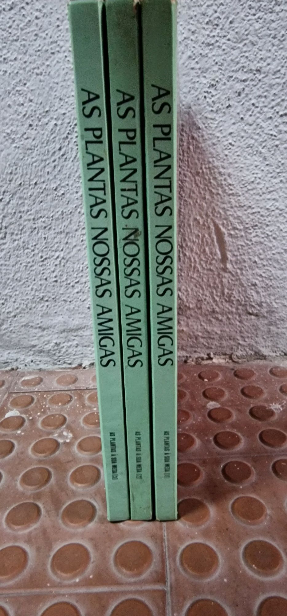 As plantas nossas amigas