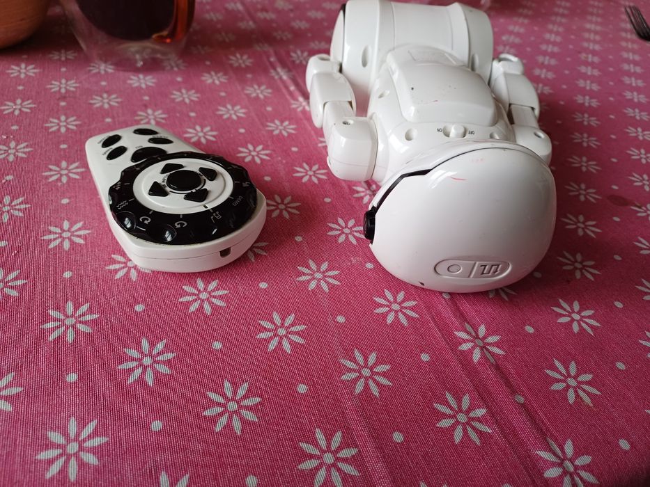 Robot zdalnie sterowany