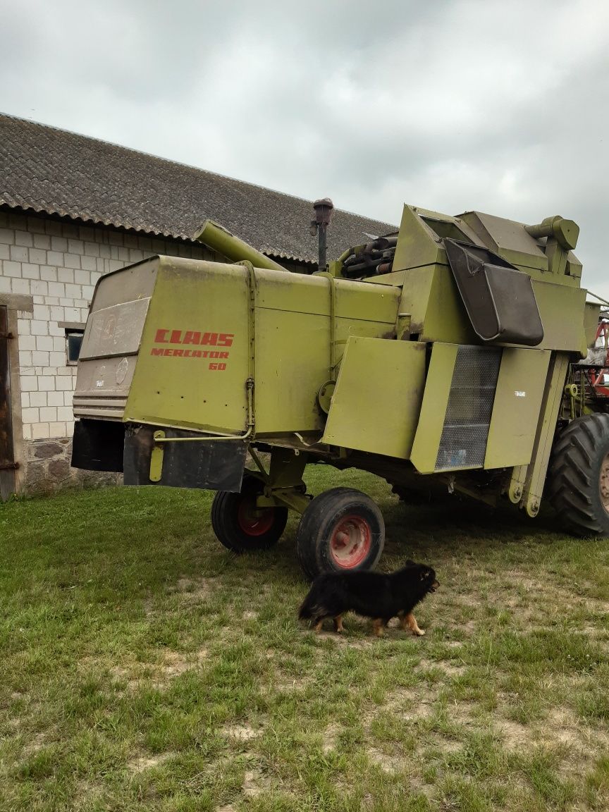 Claas Mercator 60