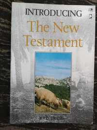 Introducing The New Testament John Drane