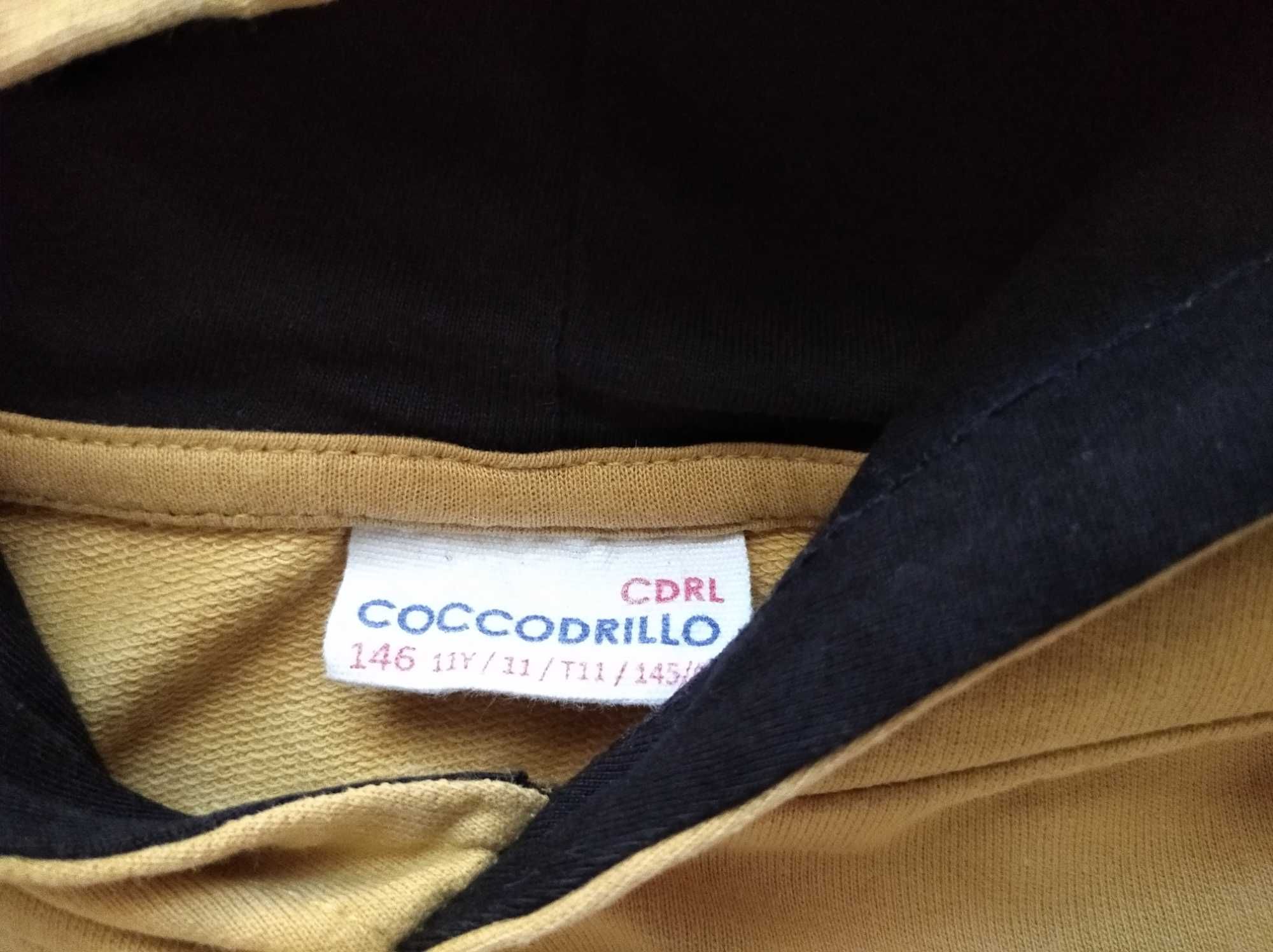 Bluza chłopięca dresowa /Coccodrillo / 146