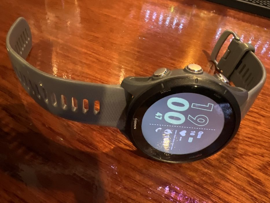 Garmin Forerunner 255  Cinza/Ardósia