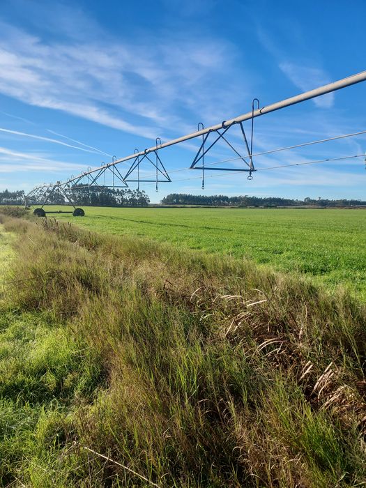 Pivot de rega de 5 torres 298 mt