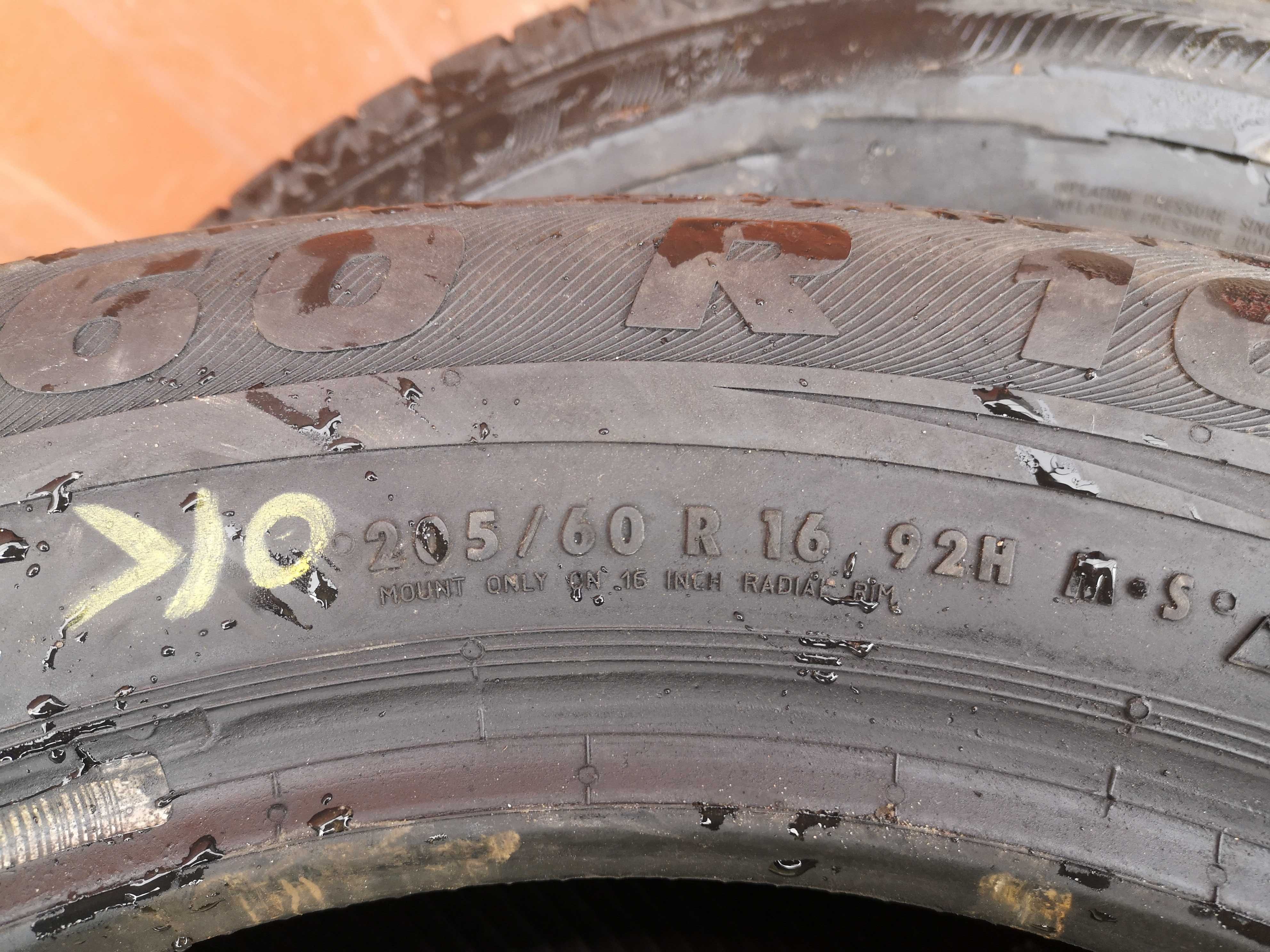 205/60 R16 92H - Semperit Speed-Grip (2 sztuki)