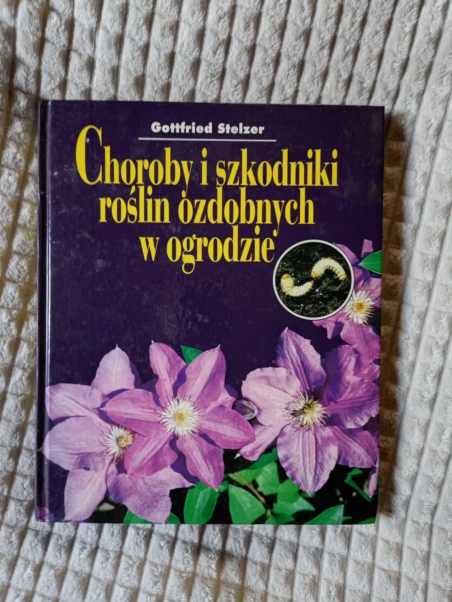 Choroby i szkodniki