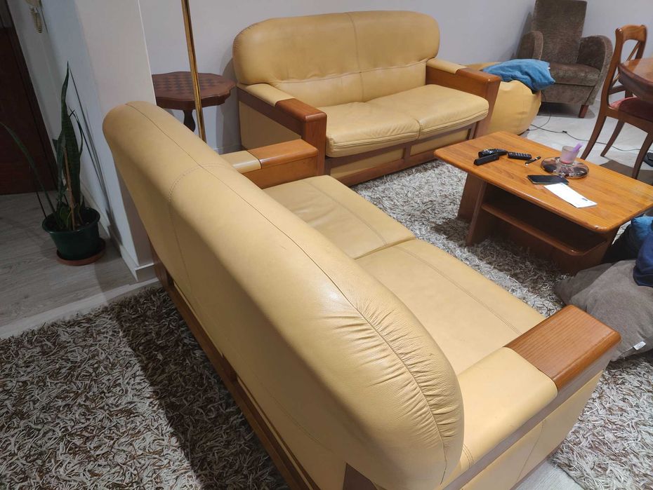 Vendo 2 Sofás em pele