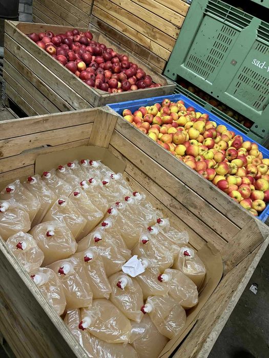 Sok Jabłkowy Tłoczony 5L