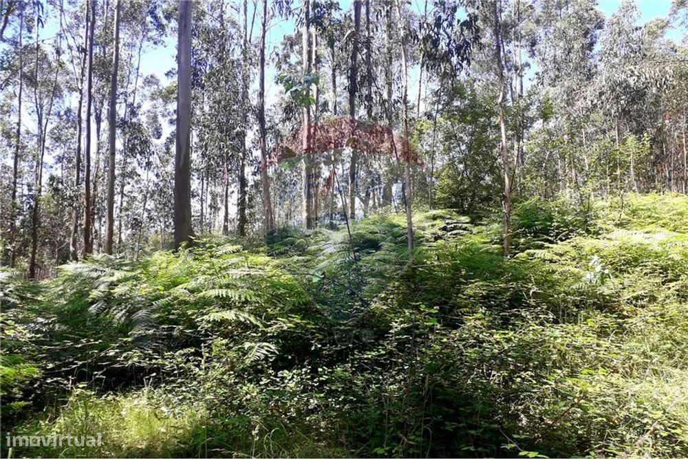 Terreno  para venda