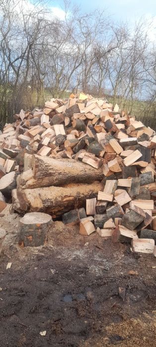 Drewno opałowe kominkowe