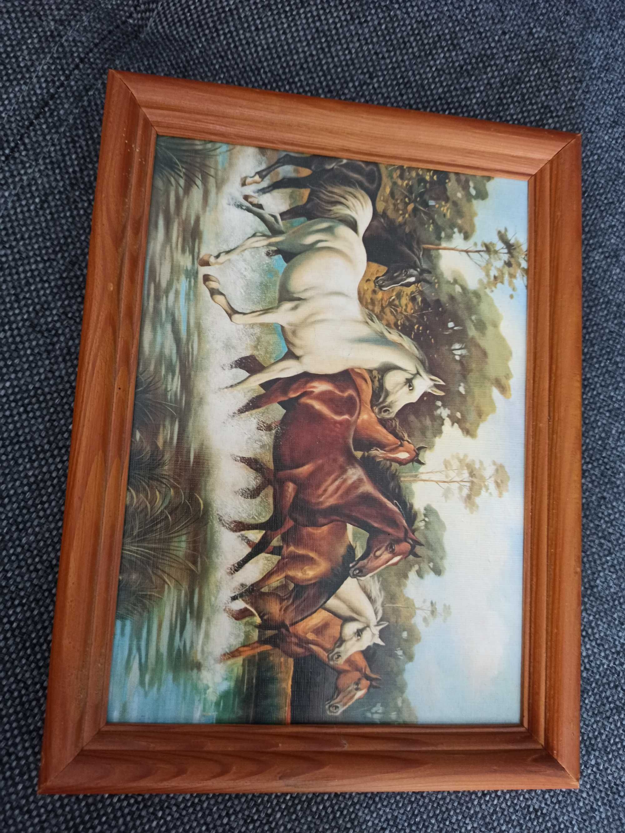 Obraz konie ramka z drewna